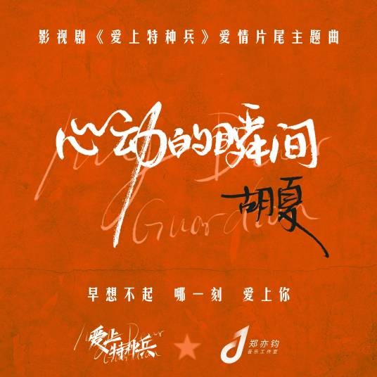 心动的瞬间（影视剧《爱上特种兵》爱情片尾主题曲）