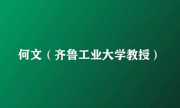 何文（齐鲁工业大学教授）