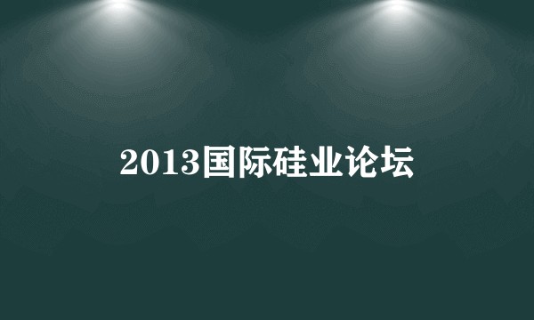 2013国际硅业论坛