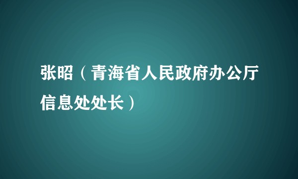 张昭（青海省人民政府办公厅信息处处长）