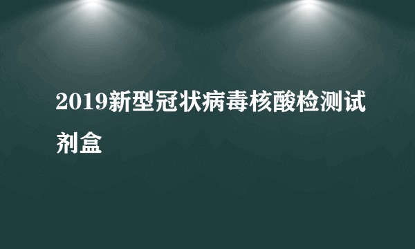 2019新型冠状病毒核酸检测试剂盒