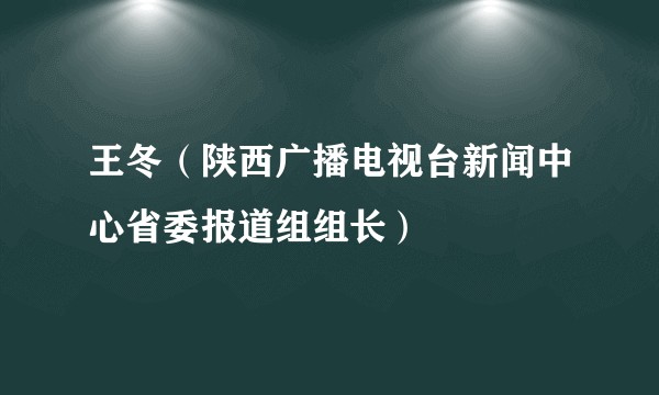 王冬（陕西广播电视台新闻中心省委报道组组长）