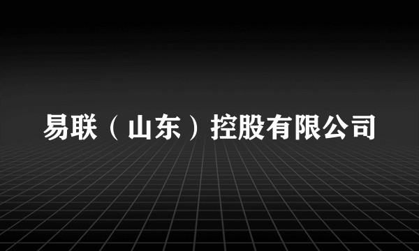 易联（山东）控股有限公司