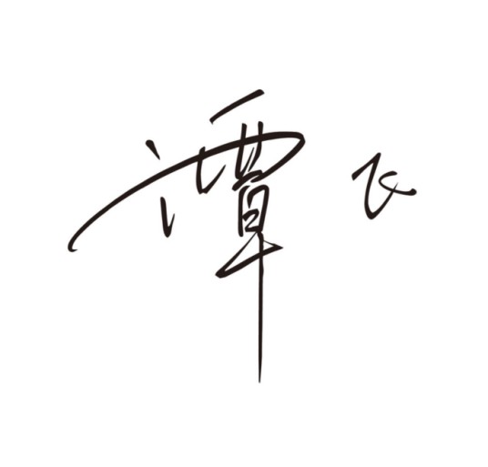 谭飞(品牌)