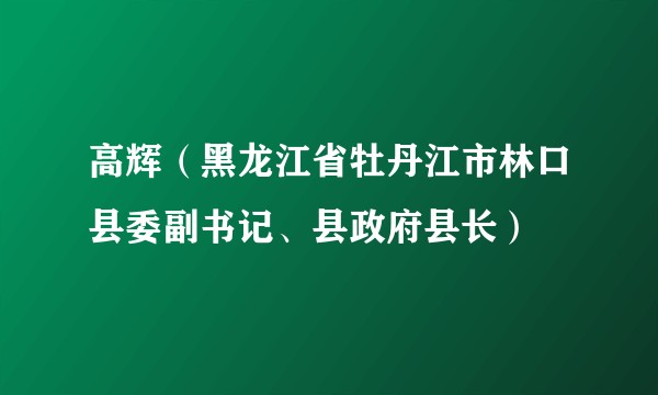 高辉(黑龙江省牡丹江市林口县委副书记、县政府县长)