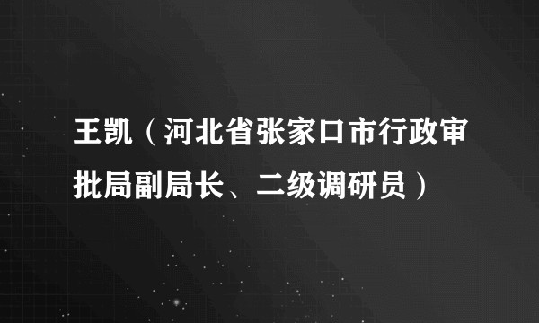 王凯（河北省张家口市行政审批局副局长、二级调研员）