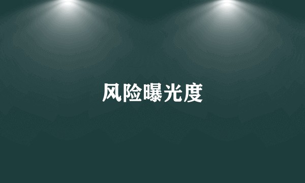 风险曝光度
