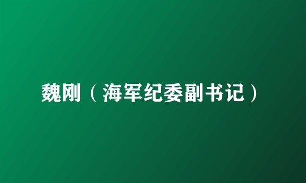 魏刚（海军纪委副书记）