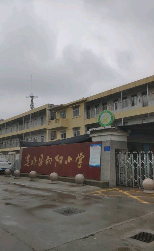 向阳小学（江苏省淮安市涟水县向阳小学）