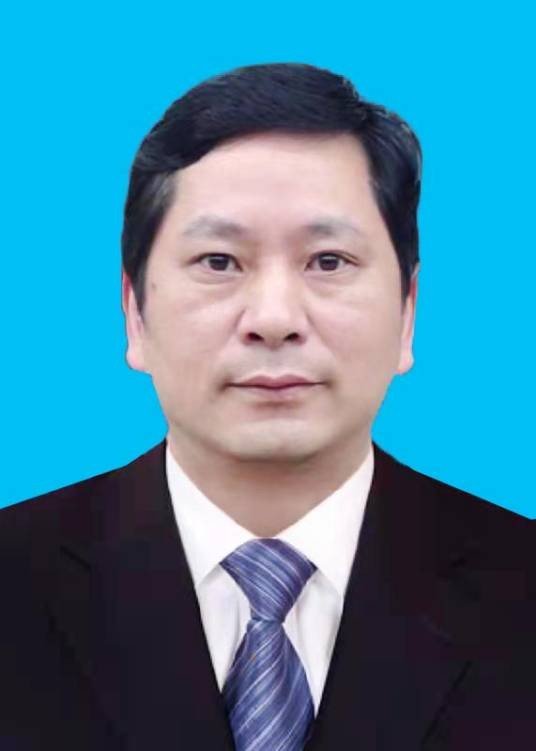 陈晓林(湖南省娄底市娄星区人大常委会党组书记、主任)
