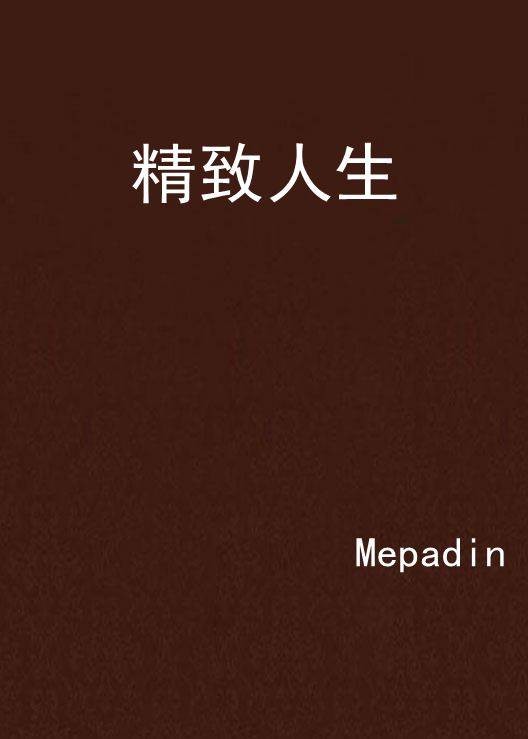 精致人生