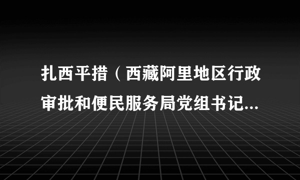 扎西平措(西藏阿里地区行政审批和便民服务局党组书记、副局长)