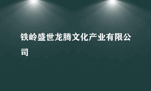 铁岭盛世龙腾文化产业有限公司