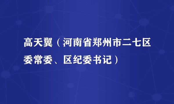 高天翼（河南省郑州市二七区委常委、区纪委书记）