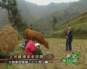 希望在山区