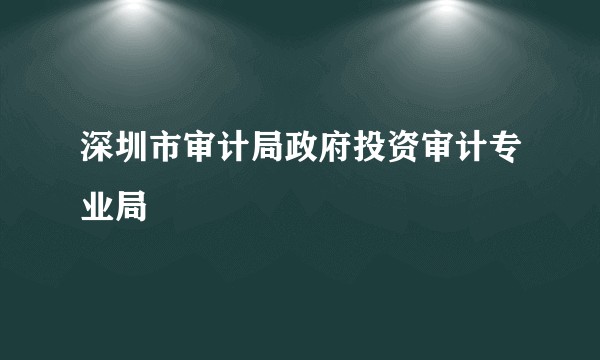 深圳市审计局政府投资审计专业局
