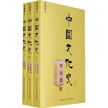 中国文化史（2015年出版的图书）