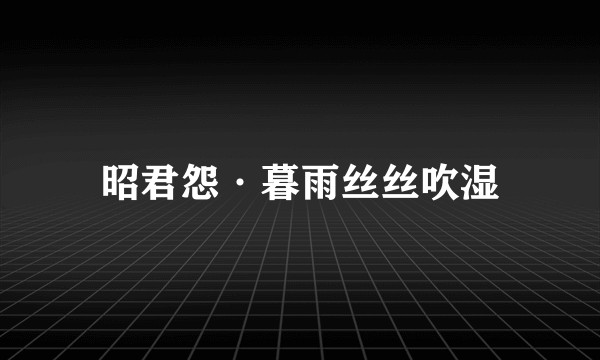 昭君怨·暮雨丝丝吹湿