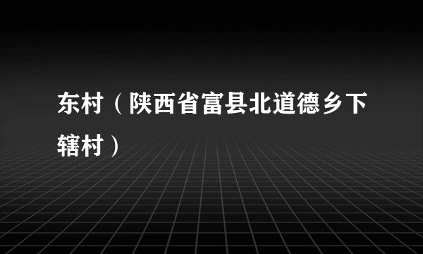 东村（陕西省富县北道德乡下辖村）