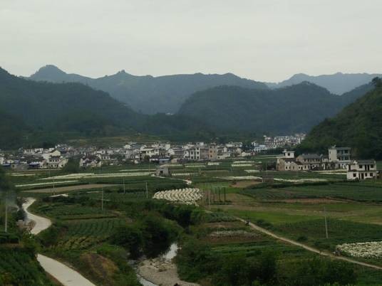 西坡村(安徽省黄山市歙县溪头镇下辖村)