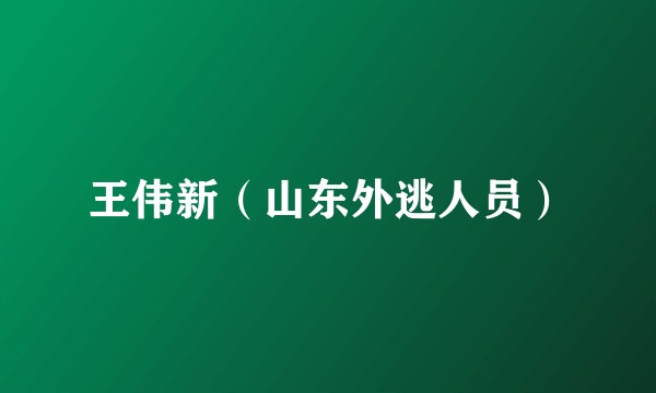 王伟新(山东外逃人员)