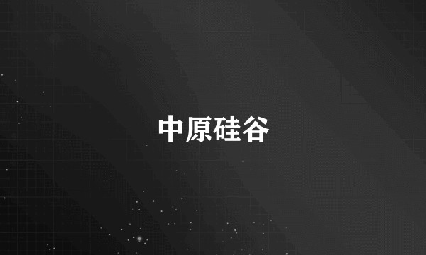 中原硅谷