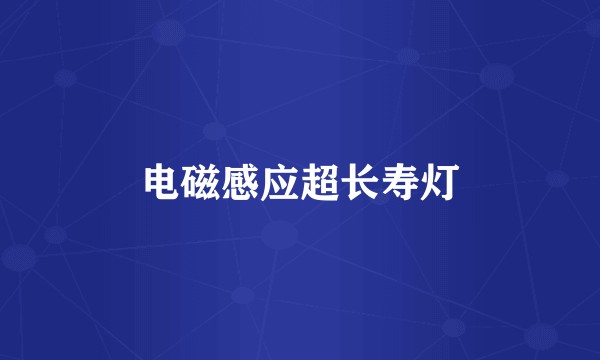 电磁感应超长寿灯