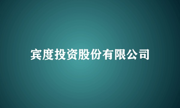 宾度投资股份有限公司