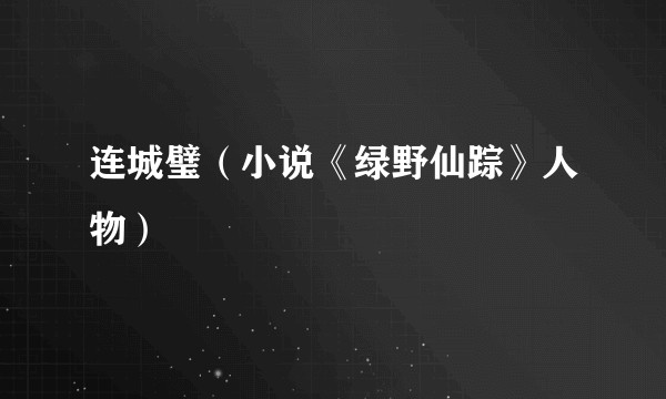 连城璧（小说《绿野仙踪》人物）