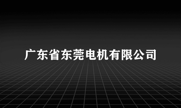 广东省东莞电机有限公司