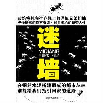 迷墙（2011新锐“晃荡文学”都市小说）