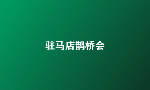 驻马店鹊桥会
