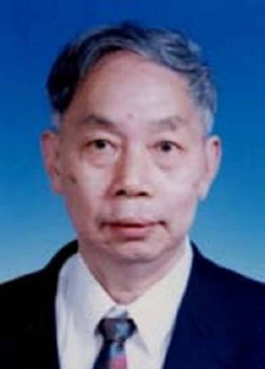 陈新(中国工程院院士、桥梁工程专家)
