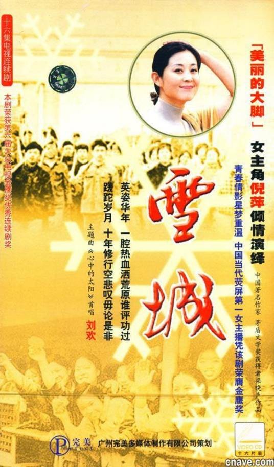 雪城(1987年李文岐、向继营执导的电视剧)