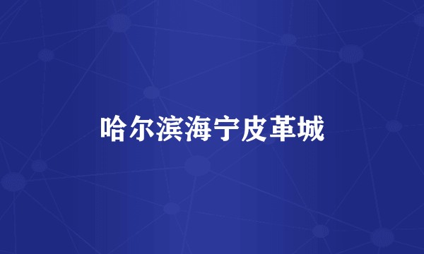 哈尔滨海宁皮革城