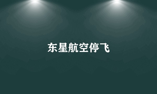 东星航空停飞