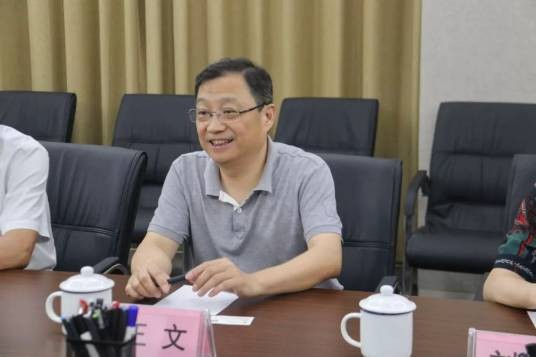 王文(中央党校(国家行政学院)研究室副主任)