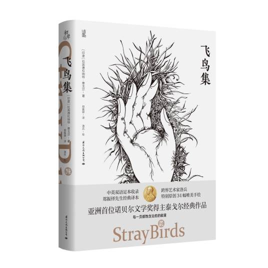 飞鸟集（2020年国际文化出版公司出版的图书）