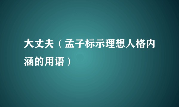 大丈夫(孟子标示理想人格内涵的用语)
