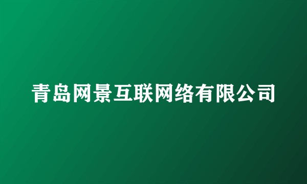 青岛网景互联网络有限公司