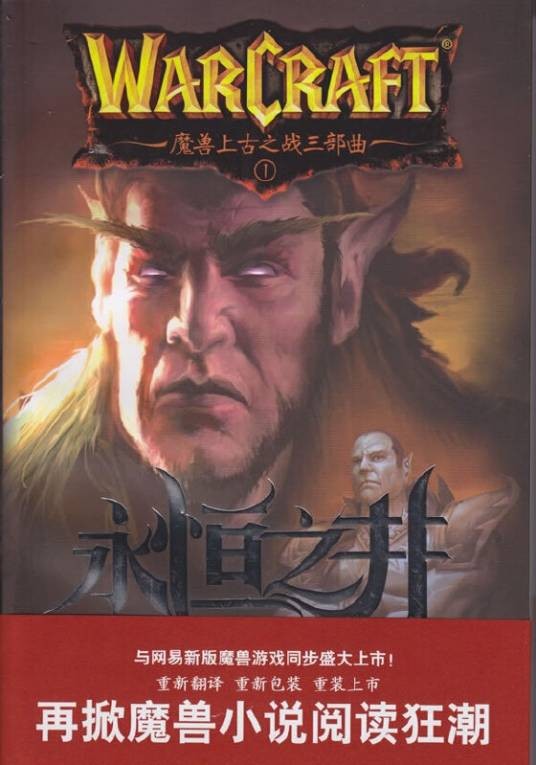 永恒之井（2010年文汇出版社出版的图书）