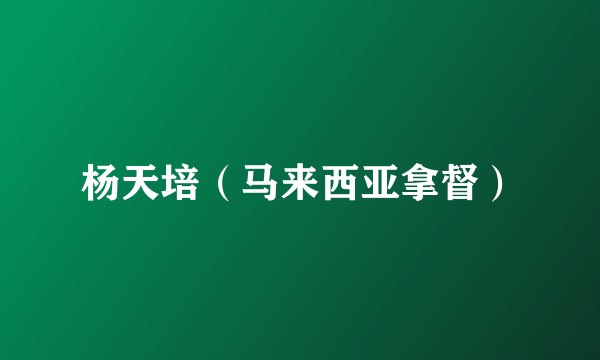 杨天培（马来西亚拿督）