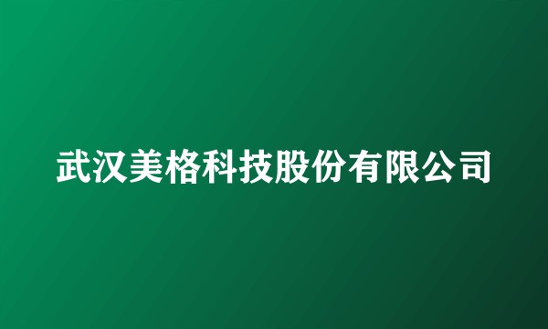 武汉美格科技股份有限公司