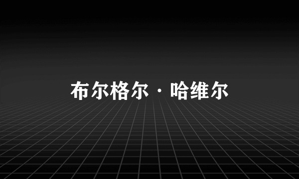 布尔格尔·哈维尔