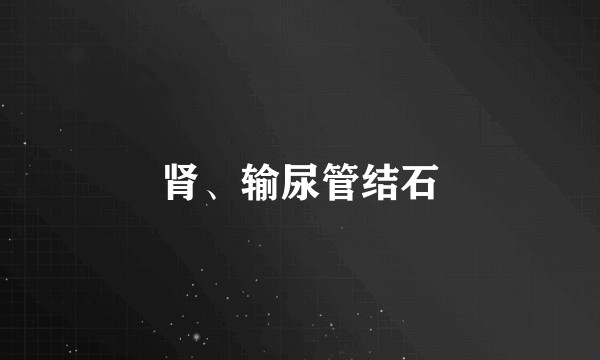 肾、输尿管结石