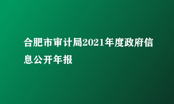 合肥市审计局2021年度政府信息公开年报
