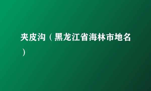 夹皮沟（黑龙江省海林市地名）
