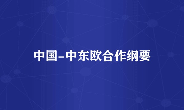 中国-中东欧合作纲要