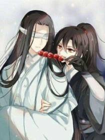 陈情令——义城续