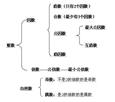 因数